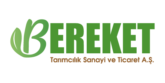 BEREKET