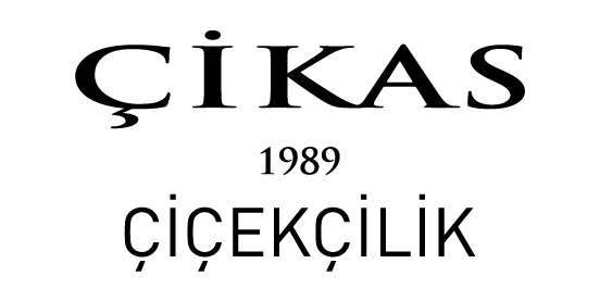 CIKAS