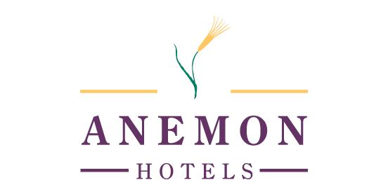 ANEMON